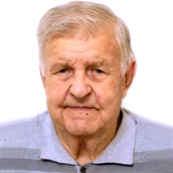 Volpi Giovanni La Provincia